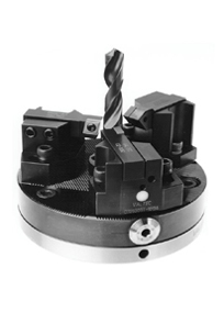 testina5